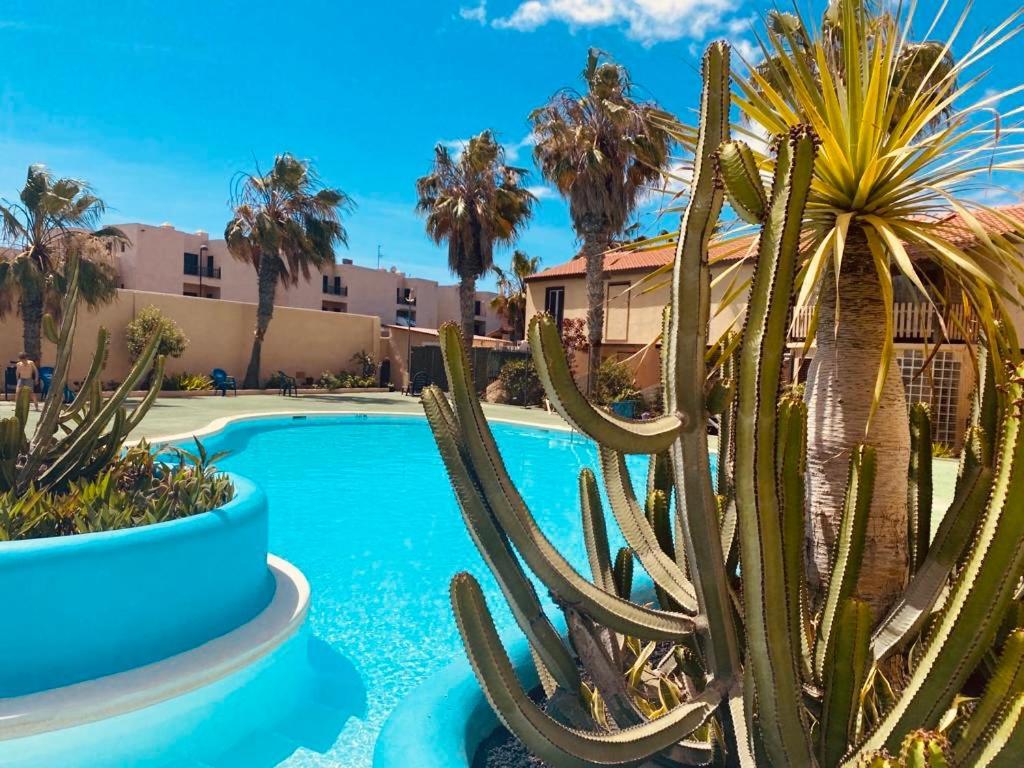 Surf & Chill Bungalow 69, Quiet Green Oasis With Community Swimmingpool Parque Holandes Exterior foto
